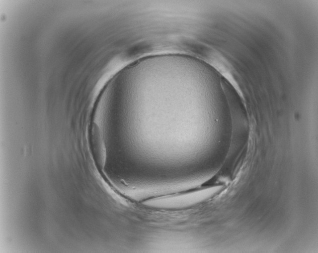 X0000070411197200606161403