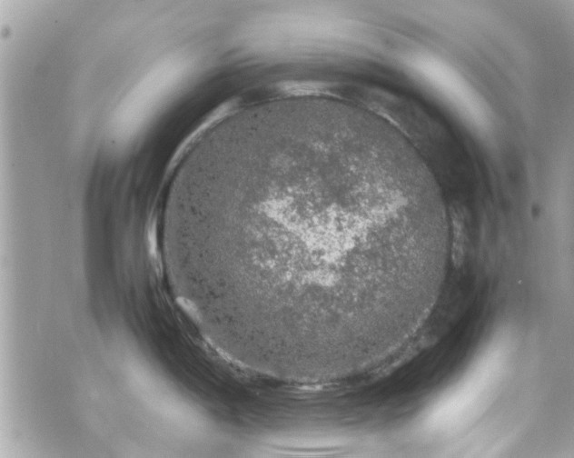 X0000070411198200606161403