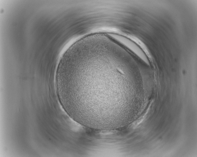 X0000070411199200606161403