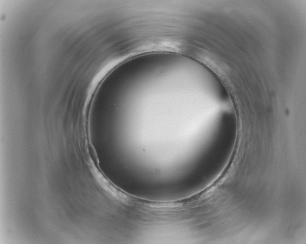 X0000070411200200606161403