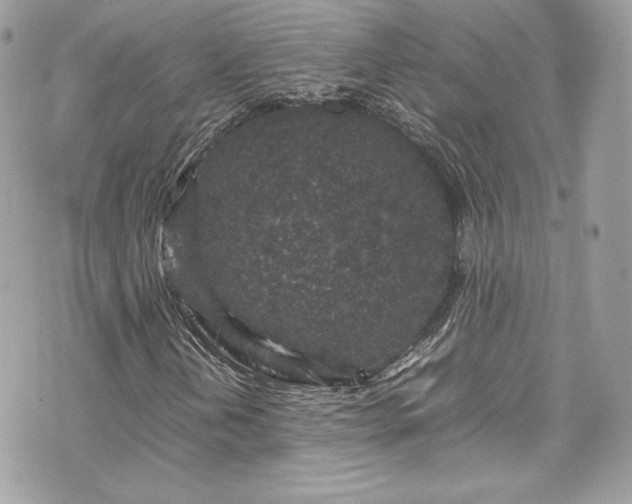 X0000070411202200606161402