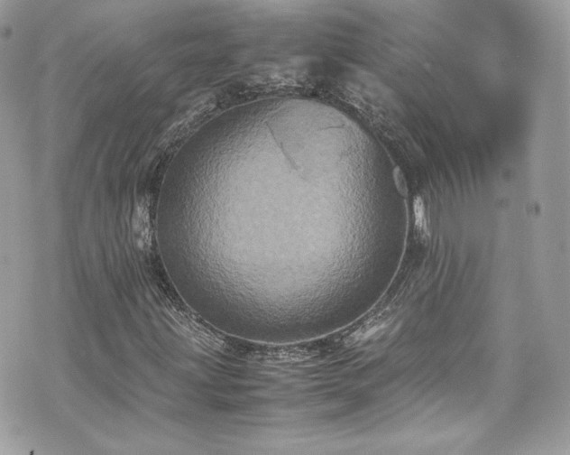 X0000070411203200606161402