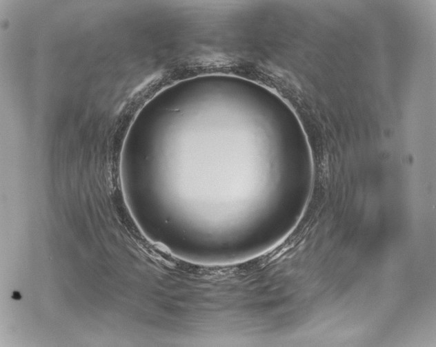 X0000070411205200606161402