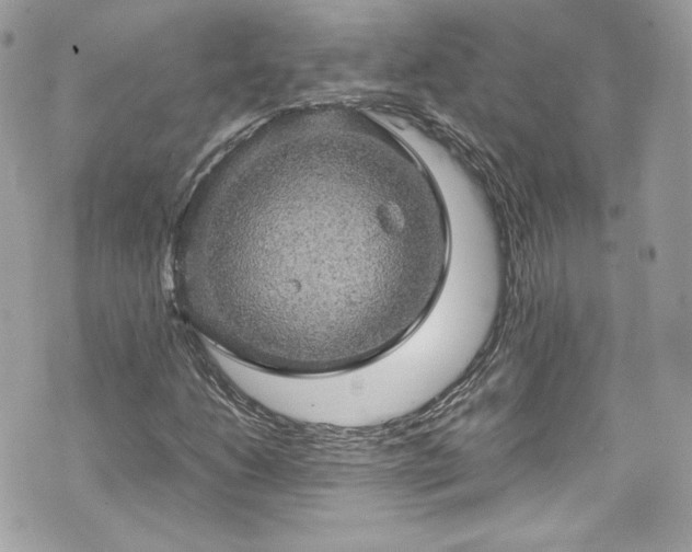 X0000070411206200606161402