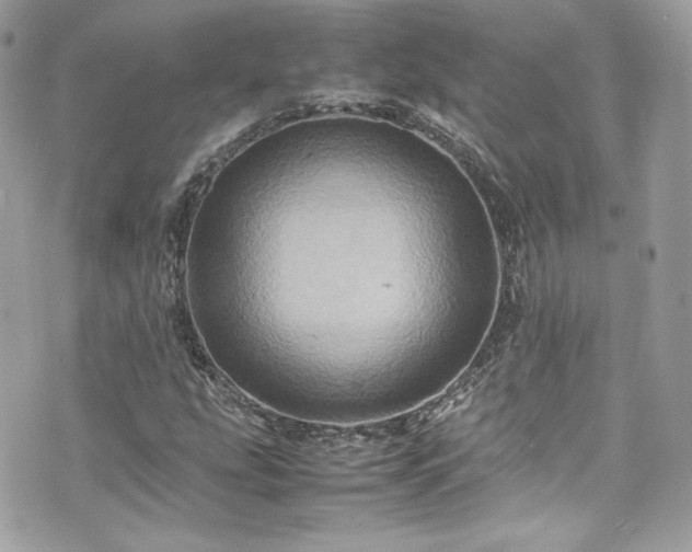 X0000070411207200606161402