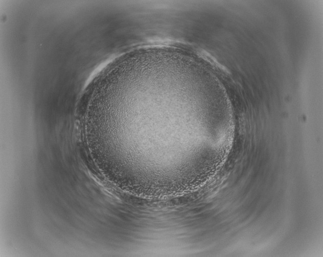 X0000070411208200606161402