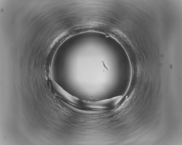 X0000070411210200606161402