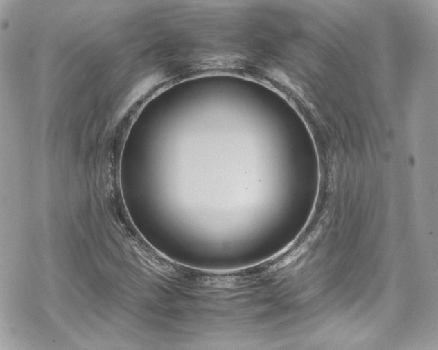 X0000070411211200606161402