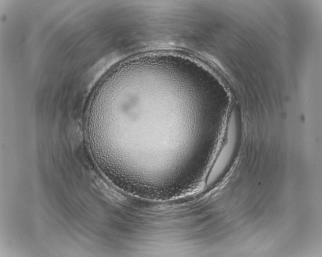 X0000070411212200606161402