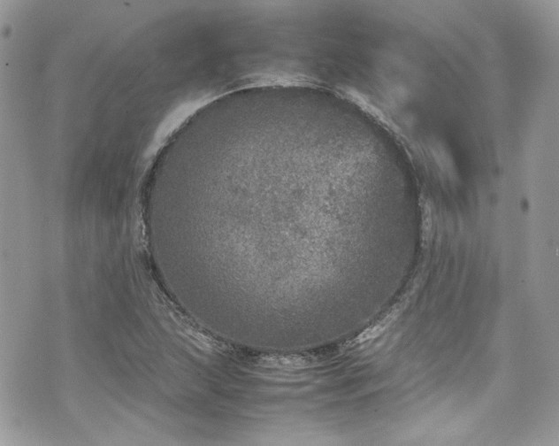 X0000070411215200606161402