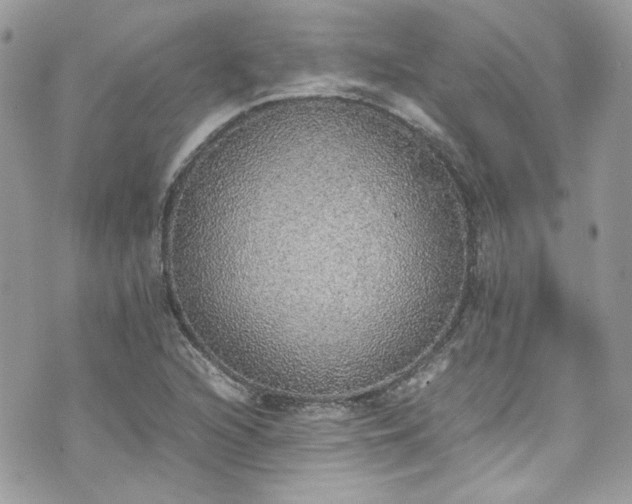 X0000070411216200606161402