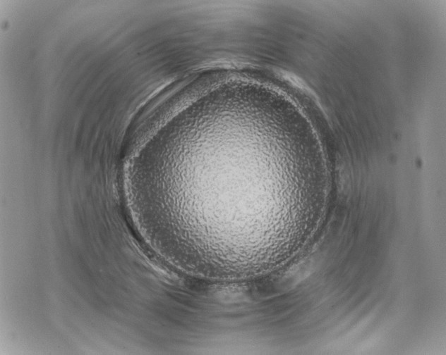 X0000070411217200606161402