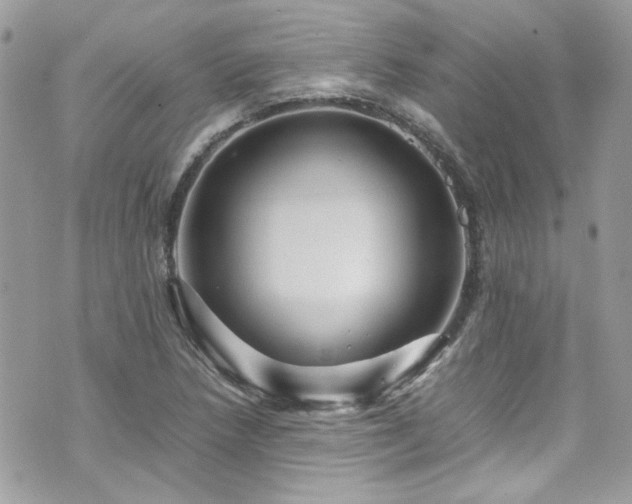 X0000070411218200606161402