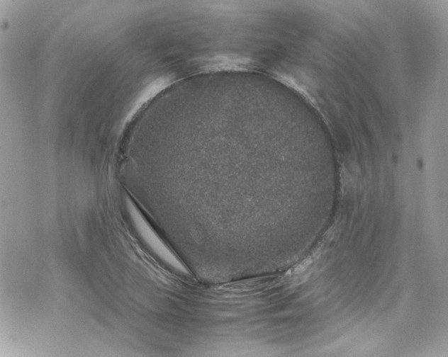 X0000070411219200606161402