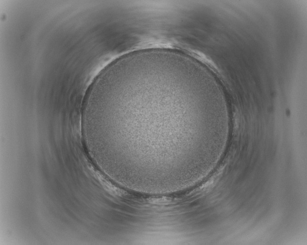 X0000070411220200606161402