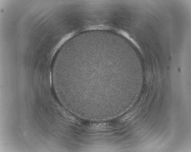 X0000070411221200606161402