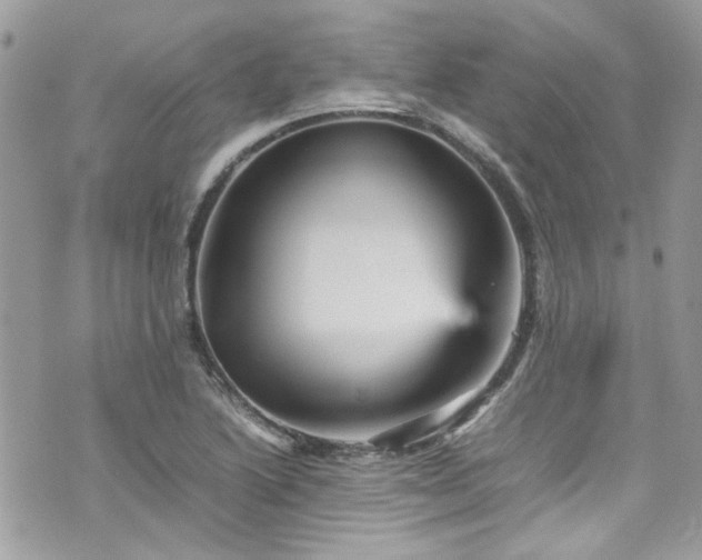 X0000070411222200606161402