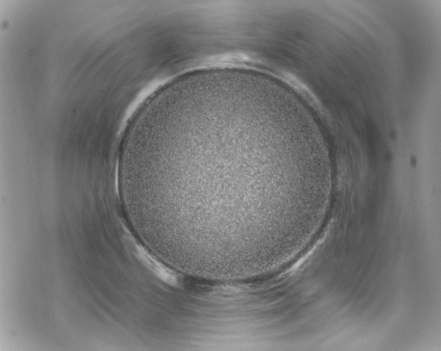 X0000070411224200606161403