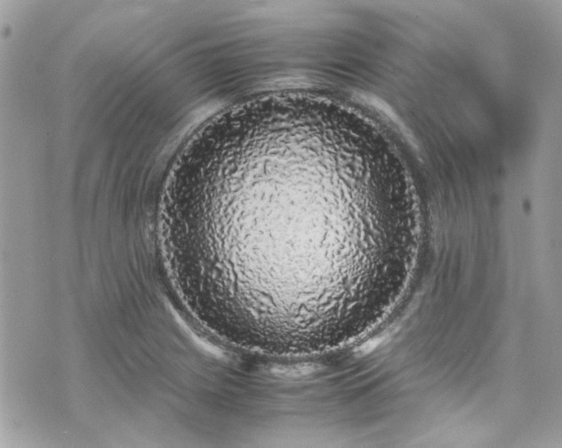 X0000070411225200606161403