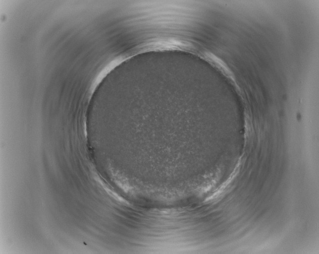 X0000070411226200606161403