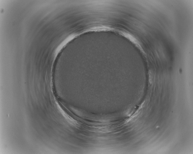 X0000070411229200606161403