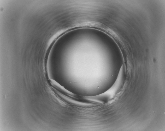 X0000070411230200606161403