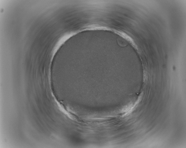 X0000070411231200606161403