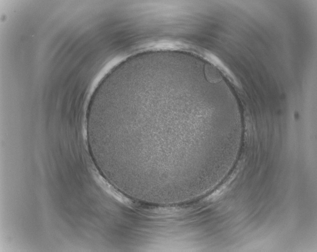 X0000070411232200606161403