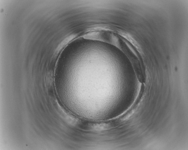 X0000070411233200606161403