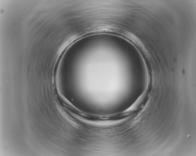 X0000070411234200606161403