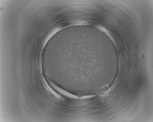 X0000070411235200606161403