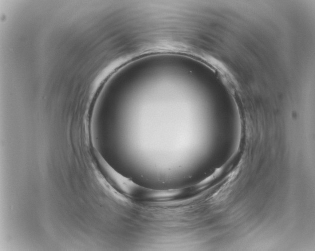 X0000070411238200606161403