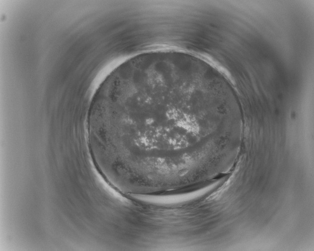 X0000070411239200606161403