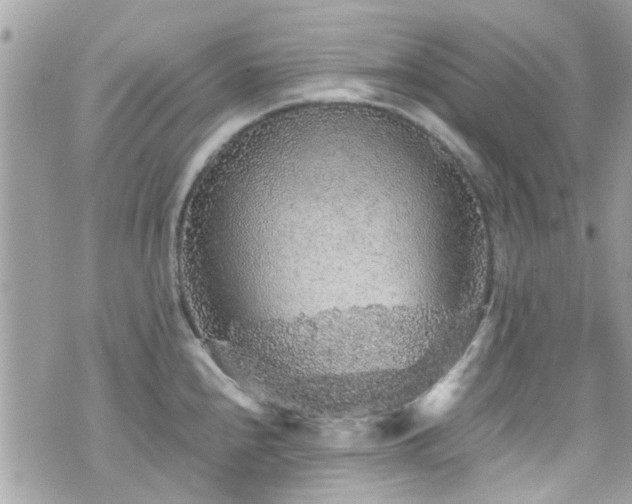 X0000070411240200606161403