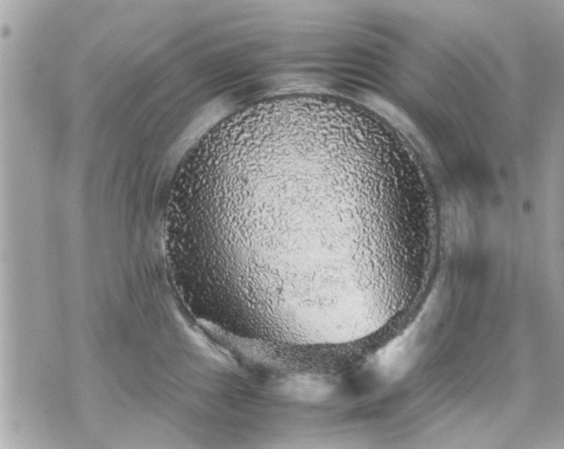 X0000070411241200606161403