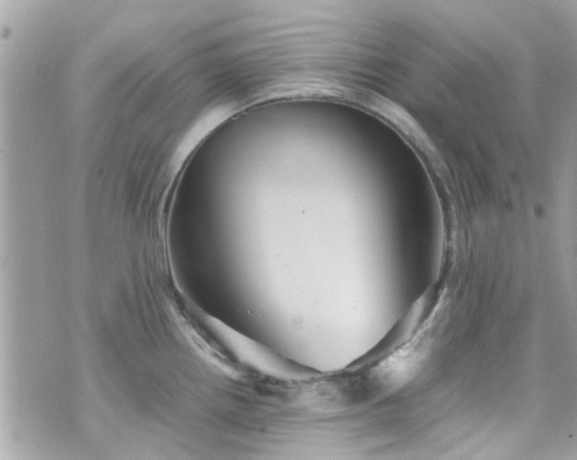 X0000070411242200606161403