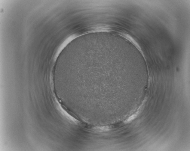 X0000070411243200606161403