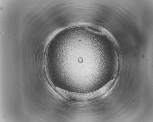 X0000070411244200606161403