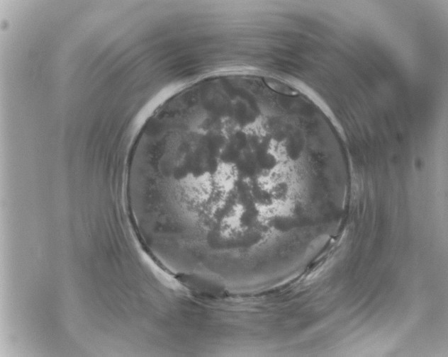 X0000070411245200606161403