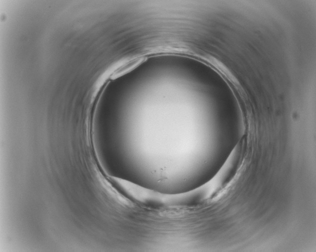 X0000070411246200606161403