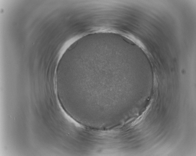 X0000070411247200606161403