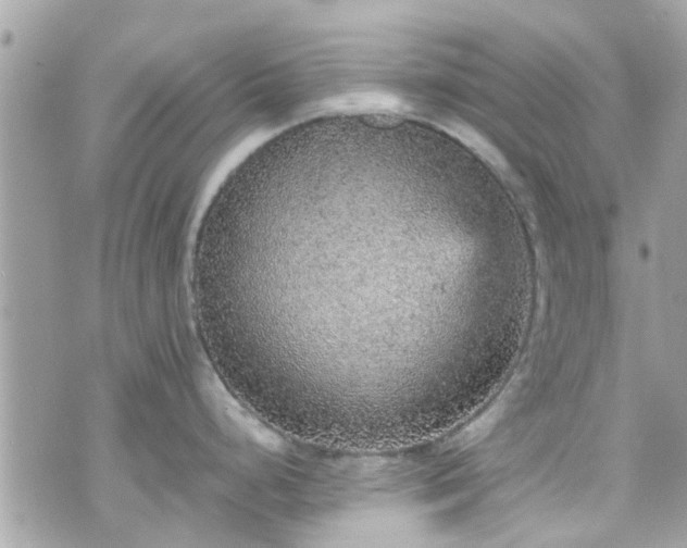 X0000070411248200606161403