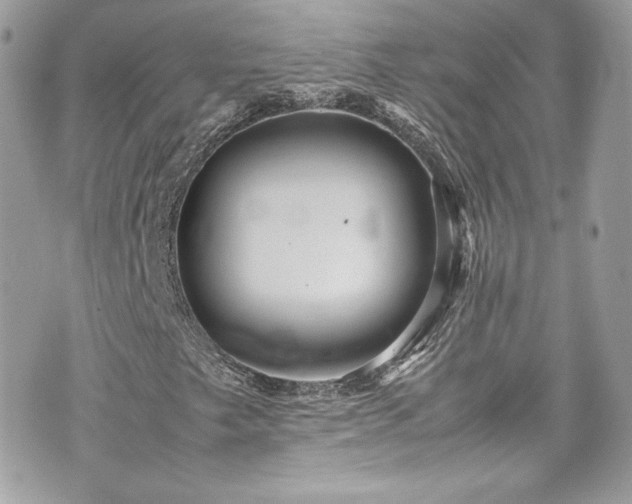 X0000070411249200606161402