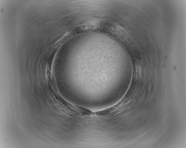 X0000070411250200606161402