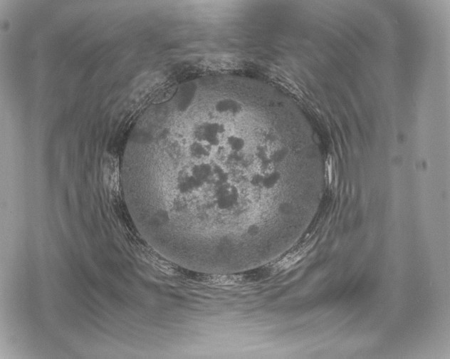 X0000070411251200606161402