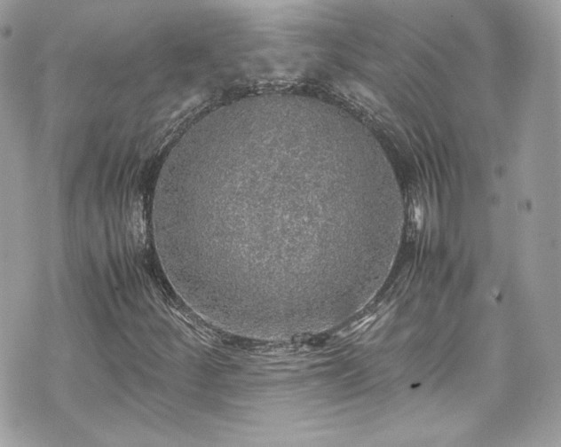 X0000070411252200606161402