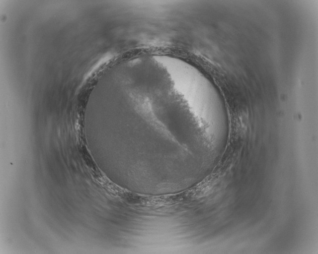 X0000070411254200606161402