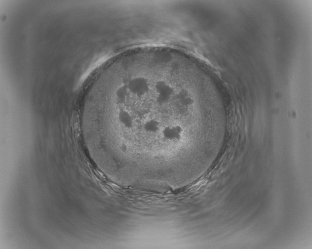 X0000070411255200606161402