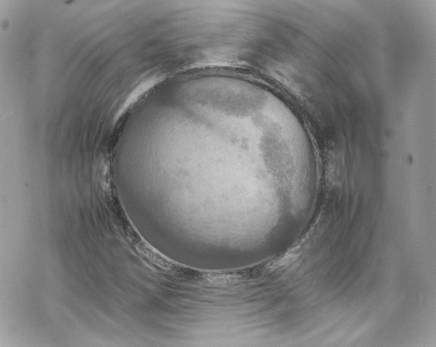 X0000070411258200606161402