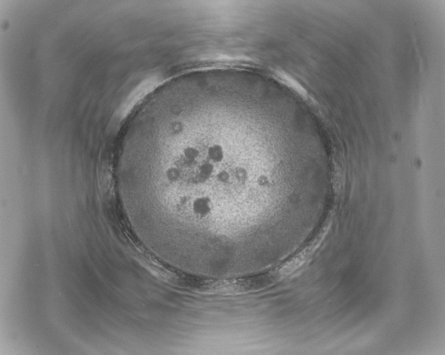 X0000070411259200606161402